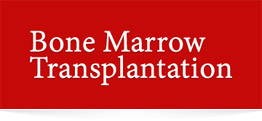 Bone Marrow Transplantation