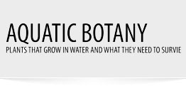 Aquatic Botany